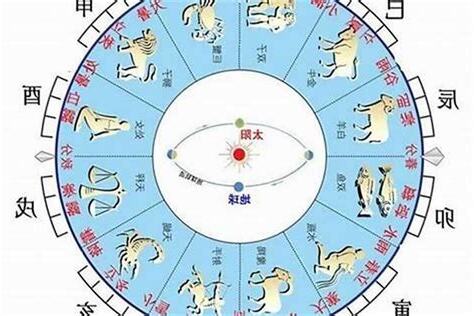八字 天干地支